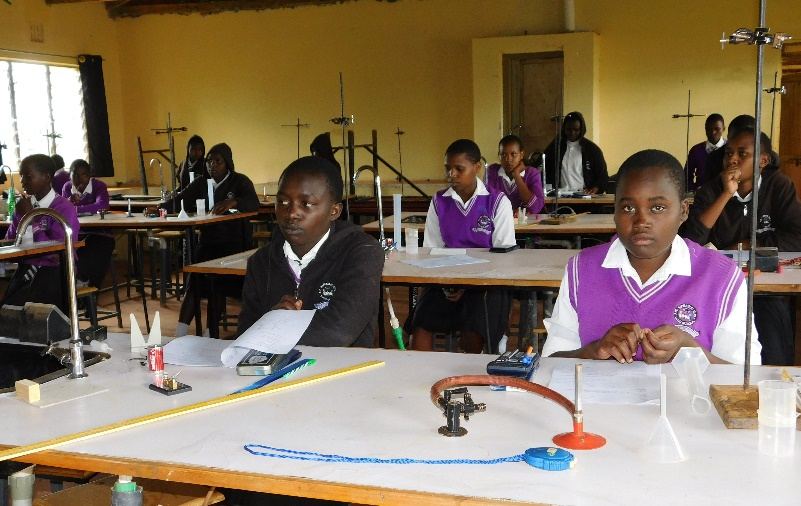 Learners working at laboratory benches